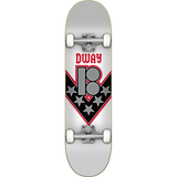 Plan B Complete Skateboards 2021 - Ready To Ride out of the Box! - Skateboard