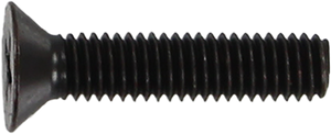 Standard Phillips Bolt 7/8" Black