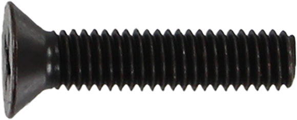 Standard Phillips Bolt 7/8